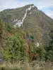 Paysages du Dauphiné - Montagne couverte d'arbres