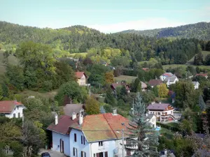 Paysages du Dauphiné - Maisons, arbres et forêt