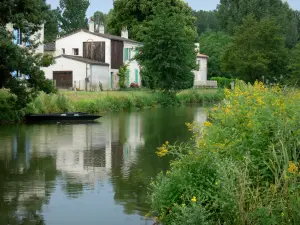 Paysages des Deux-Sèvres - Vallée de la Sèvre niortaise - Marais poitevin - Venise verte : maisons au bord de la Sèvre niortaise, fleurs jaunes en premier plan