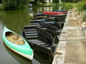 Paysages des Deux-Sèvres - Vallée de la Sèvre niortaise - Marais poitevin - Venise verte - Coulon : barques amarrées