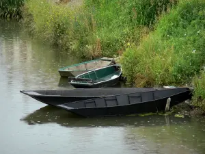 Paysages des Deux-Sèvres - Vallée de la Sèvre niortaise - Marais poitevin - Venise verte : barques sur l'eau