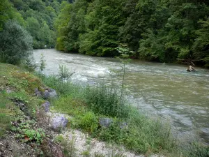 Paysages du Doubs - Vallée du Dessoubre : rivière Dessoubre bordée d'arbres