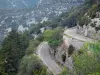 Paysages du Gard - Route bordée d'arbres menant au coeur du cirque de Navacelles