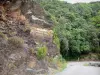 Paysages du Gard - Route bordée de rochers et d'arbres