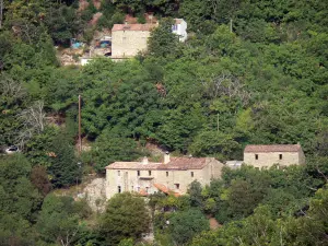 Paysages du Gard - Maisons entourées d'arbres