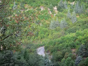Paysages du Gard - Route en contrebas bordée d'arbres