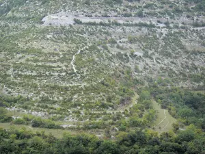 Paysages du Gard - Montagne parsemée d'arbres