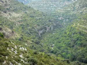 Paysages du Gard - Montagnes parsemées de végétation
