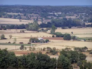 Paysages du Gard - Champs, arbres et maisons
