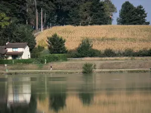 Paysages de Gascogne - Lac de L'Isle-Jourdain