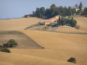 Paysages de Gascogne - Village entouré de champs