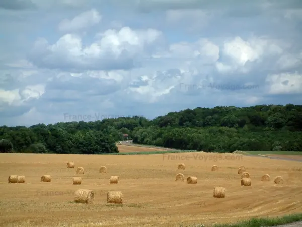 Paysages de Haute-Saône - Champ avec des bottes de paille, arbres d'une forêt et nuages dans le ciel