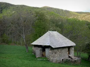 Paysages des Hautes-Alpes - Grange en pierre, prairie, arbres et forêt