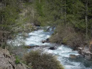 Paysages des Hautes-Alpes - Vallée de Freissinières : torrent de la Biaysse (Biaisse) bordé d'arbres et d'arbustes ; dans le Parc National des Écrins