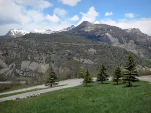 Paysages des Hautes-Alpes - Sapins au bord de la route avec vue sur les montagnes