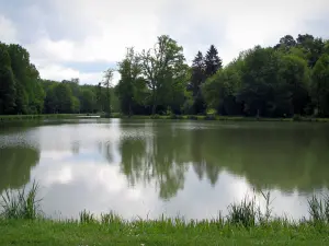 Paysages d'Indre-et-Loire - Herbe en premier plan, rivière et arbres se reflétant dans l'eau