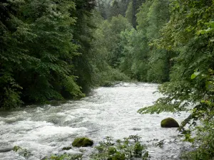 Paysages jurassiens - Rivière bordée d'arbres (forêt)