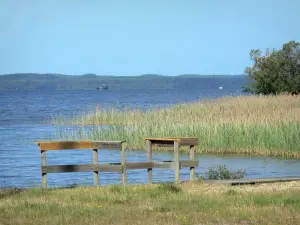 Paysages des Landes - Vue sur l'étang de Biscarrosse et de Parentis depuis Parentis-en-Born