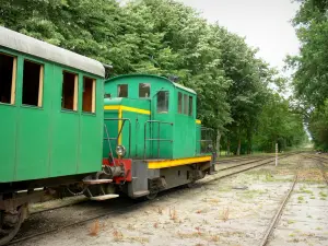 Paysages des Landes - Parc Naturel Régional des Landes de Gascogne : train de Marquèze, en gare de Sabres, menant à l'écomusée de la Grande Lande de Marquèze