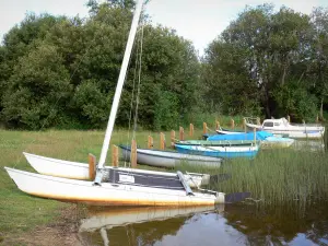 Paysages des Landes - Étang d'Aureilhan et ses bateaux amarrés