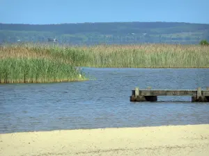 Paysages des Landes - Plage de sable de Parentis-en-Born avec vue sur les roselières de l'étang de Biscarrosse et de Parentis
