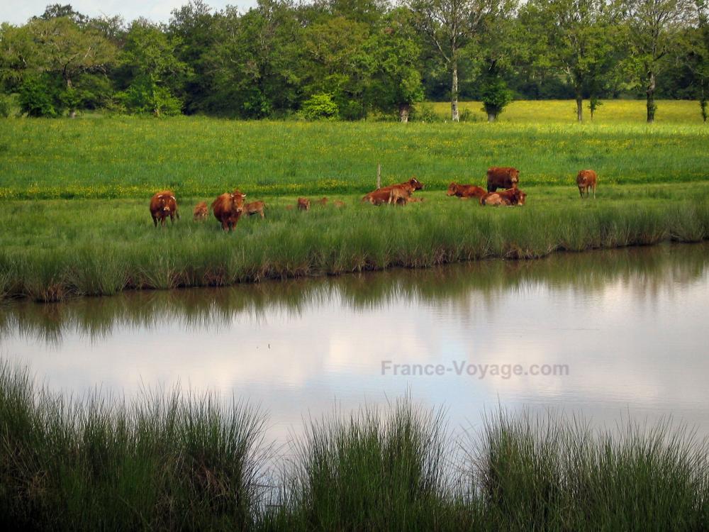 Photos Paysages du Limousin 34 images de qualité en haute définition