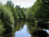 Paysages du Limousin - Rivière bordée d'arbres