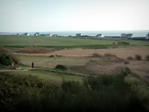 Paysages du littoral de Bretagne - Arbustes et champs avec toits de maisons et mer (océan atlantique) en arrière-plan