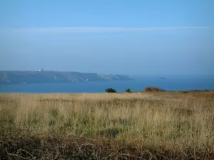 Paysages du littoral de Bretagne - Champ de blé avec mer (océan atlantique) et côte (falaises) au loin