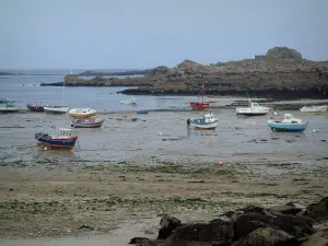 Paysages du littoral de Bretagne - Marée basse avec petits bateaux et chalutiers, algues, côtes et rochers, puis mer