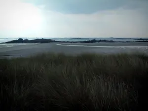 Paysages du littoral de Bretagne - Herbe sauvage, plage et côtes découpées au loin