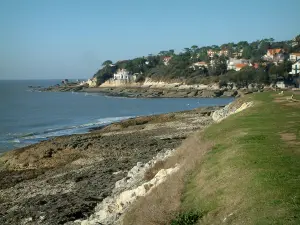 Paysages du littoral de Charente-Maritime - Herbage, rochers, mer et maisons (villas) dans la forêt