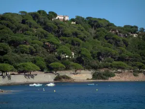 Paysages du littoral de la Côte d'Azur - Forêt de pins parasols, villas, mer méditerranée et bateaux