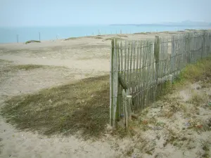 Paysages du littoral de Loire-Atlantique - Palissade, herbes, sable, plage, mer (océan Atlantique) et côte