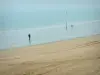 Paysages du littoral de Loire-Atlantique - Plage de sable, promeneur et mer (océan Atlantique), à La Baule