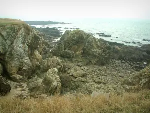 Paysages du littoral de Loire-Atlantique - Côte Sauvage : herbes, rochers et mer (océan Atlantique)