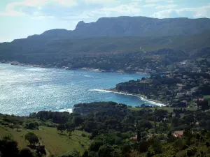 Paysages du littoral de Provence - Mer méditerranée et côte avec arbres et maisons