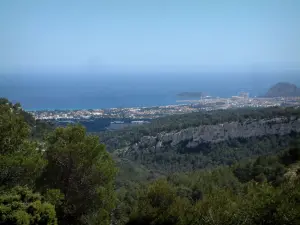 Paysages du littoral de Provence - Forêt de pins, ville de la Ciotat et mer méditerranée