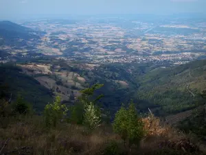 Paysages de la Loire - Collines du massif du Pilat en premier plan avec vue sur la plaine du Rhône