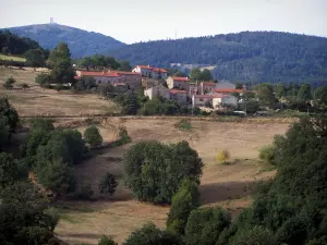 Paysages de la Loire - Massif du Pilat (Parc Naturel Régional du Pilat) : maisons, pâturages, arbres, tour du Crêt de Botte et émetteur de télévision du Crêt de l'Oeillon en arrière-plan