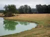 Paysages de la Loire - Arbres et pâturage au bord d'un plan d'eau