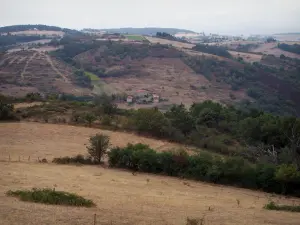 Paysages de la Loire - Petites collines couvertes de pâturages et d'arbres