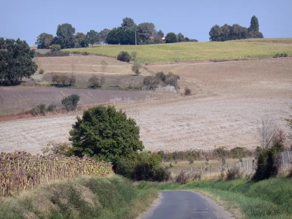 Paysages du Lot-et-Garonne - Petite route de campagne bordée de champs