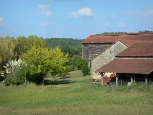 Paysages du Lot-et-Garonne - Ferme, prairie et arbres