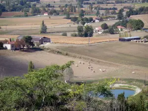 Paysages du Lot-et-Garonne - Plan d'eau, champs, maisons et arbres