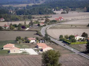 Paysages du Lot-et-Garonne - Route bordée de champs, de maisons et d'arbres