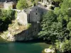 Paysages de la Lozère - Gorges du Tarn - Parc National des Cévennes : maisons du village de Castelbouc (commune de Sainte-Enimie) et arbres au bord de la rivière Tarn
