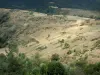 Paysages de la Lozère - Parc National des Cévennes : paysage du massif des Cévennes