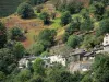 Paysages de la Lozère - Parc National des Cévennes : hameau entouré d'arbres