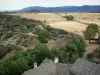 Paysages de la Lozère - Parc National des Cévennes : panorama depuis le sommet de la tour de guet de La Garde-Guérin (commune de Prévenchères)